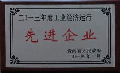 集團(tuán)榮獲2013年度全省工業(yè)經(jīng)濟(jì)運(yùn)行先進(jìn)企業(yè)